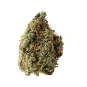 Amsterdam Genetics - White Choco (5 Samen Packung)