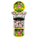 Cannabis Lollipops Mango Kush (100Stk/Display)