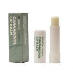 Enecta 50mg CBD Lipbalm (5,5ml)