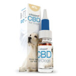 Cibdol CBD Öl für Hunde 4% (10ml)