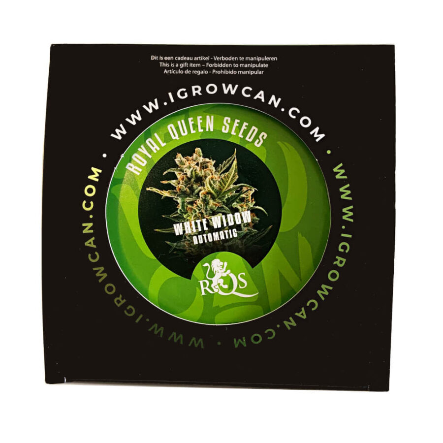 Royal Queen Seeds Northern Light IGrowCan Growing Kit