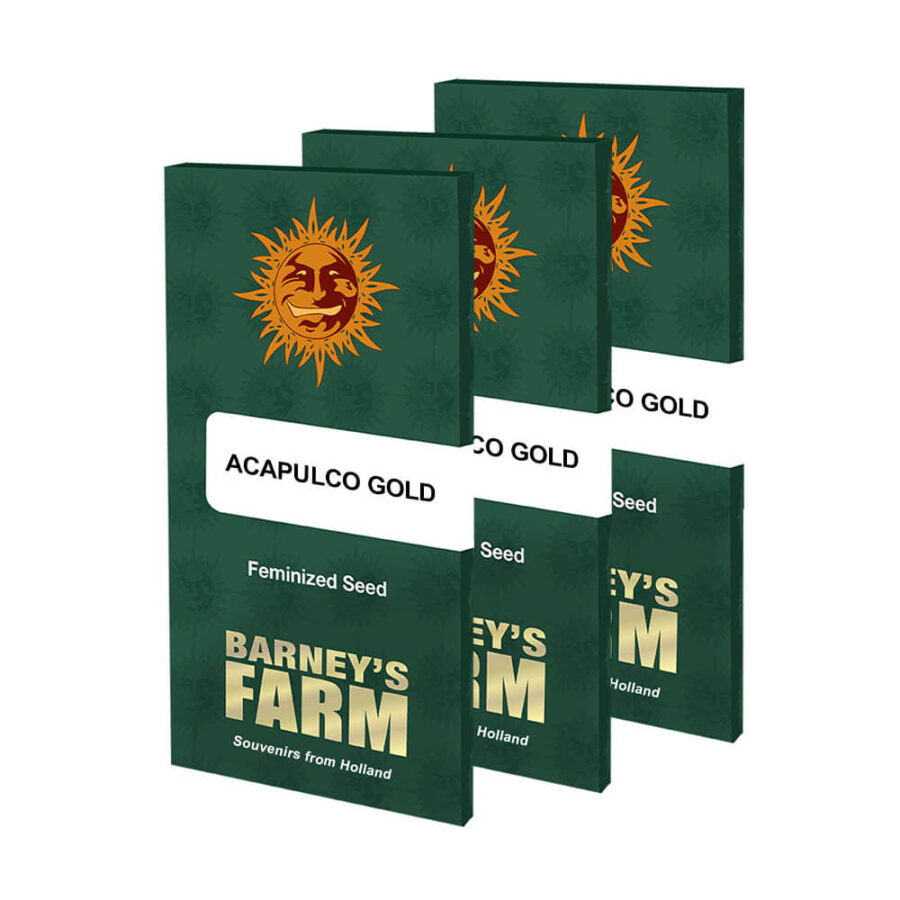 Barney's Farm Acapulco Gold (3 Samen Packung)