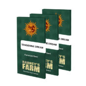 Barney's Farm Tangerine Dream (5 Samen Packung)