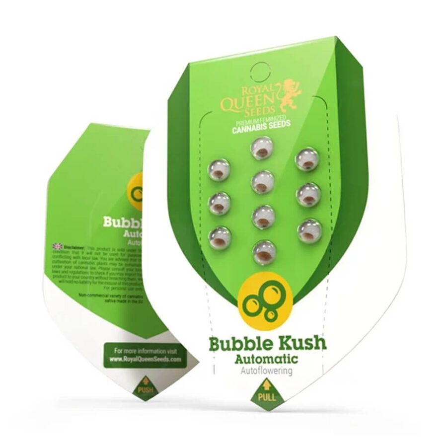 Royal Queen Seeds Bubble Kush autoflowering cannabis seeds (5 Samen Packung)