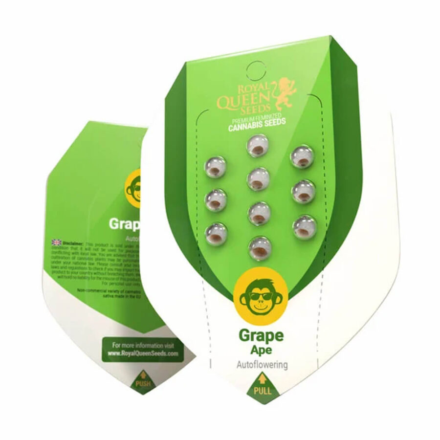 Royal Queen Seeds Grape Ape Auto Autoflowering (3 Samen Packung)