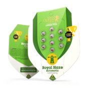 Royal Queen Seeds Royal Haze autoflowering cannabis seeds (3 Samen Packung)