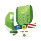 Royal Queen Seeds Royal Runtz Auto Autoflowering (3 Samen Packung)