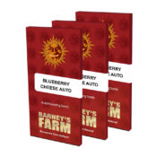 Barney's Farm Blue Cheese Auto autoflowering cannabis seeds (3 Samen Packung)