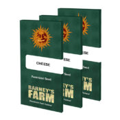 Barney's Farm Cheese feminized cannabis seeds (5 Samen Packung)