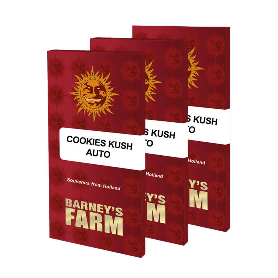 Barney's Farm Cookies Kush Auto autoflowering cannabis seeds (3 Samen Packung)