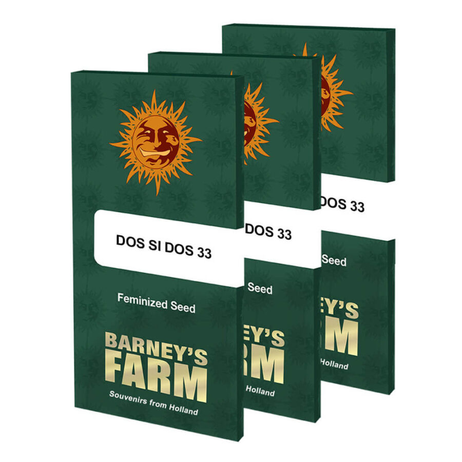 Barney's Farm Dos Si Dos 33 feminized cannabis seeds (3 Samen Packung)