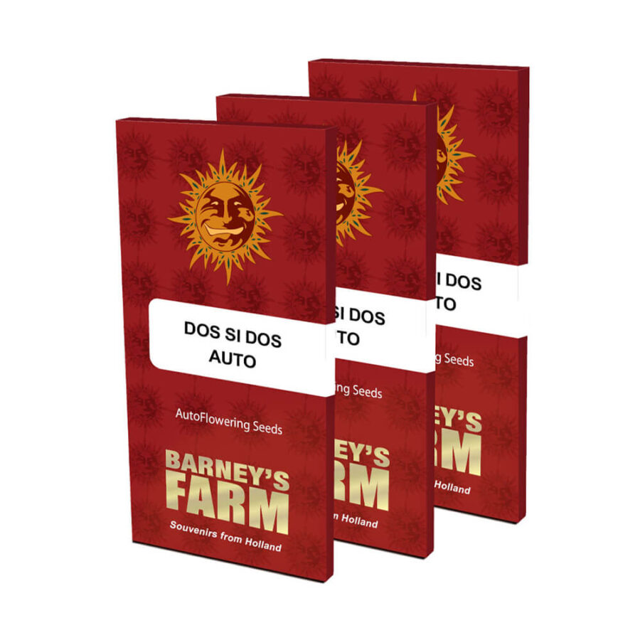 Barney's Farm Dos Si Dos Auto autoflowering cannabis seeds (3 Samen Packung)