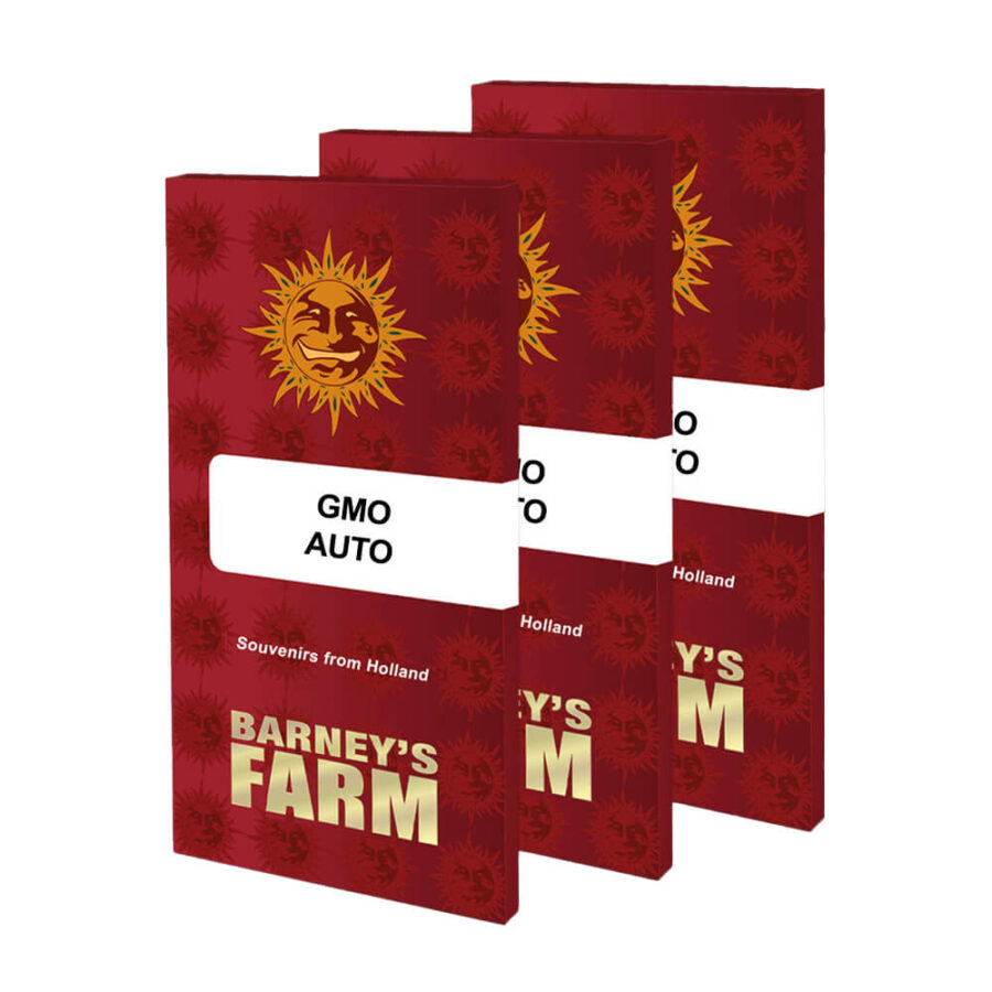 Barney's Farm GMO Auto autoflowering cannabis seeds (3 Samen Packung)