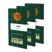 Barney's Farm GMO feminized cannabis seeds (3 Samen Packung)