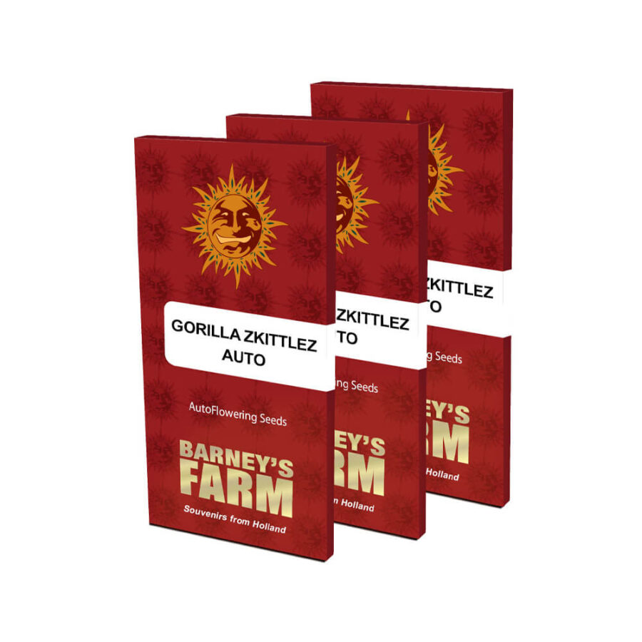 Barney's Farm Gorilla Zkittlez Auto autoflowering cannabis seeds (3 Samen Packung)