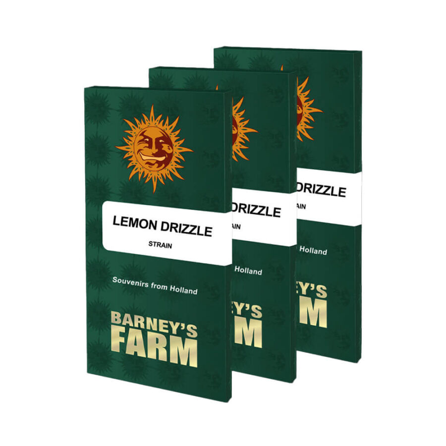 Barney's Farm Lemon Drizzle feminized cannabis seeds (3 Samen Packung)