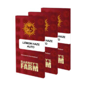 Barney's Farm Lemon Haze Auto autoflowering cannabis seeds (3 Samen Packung)