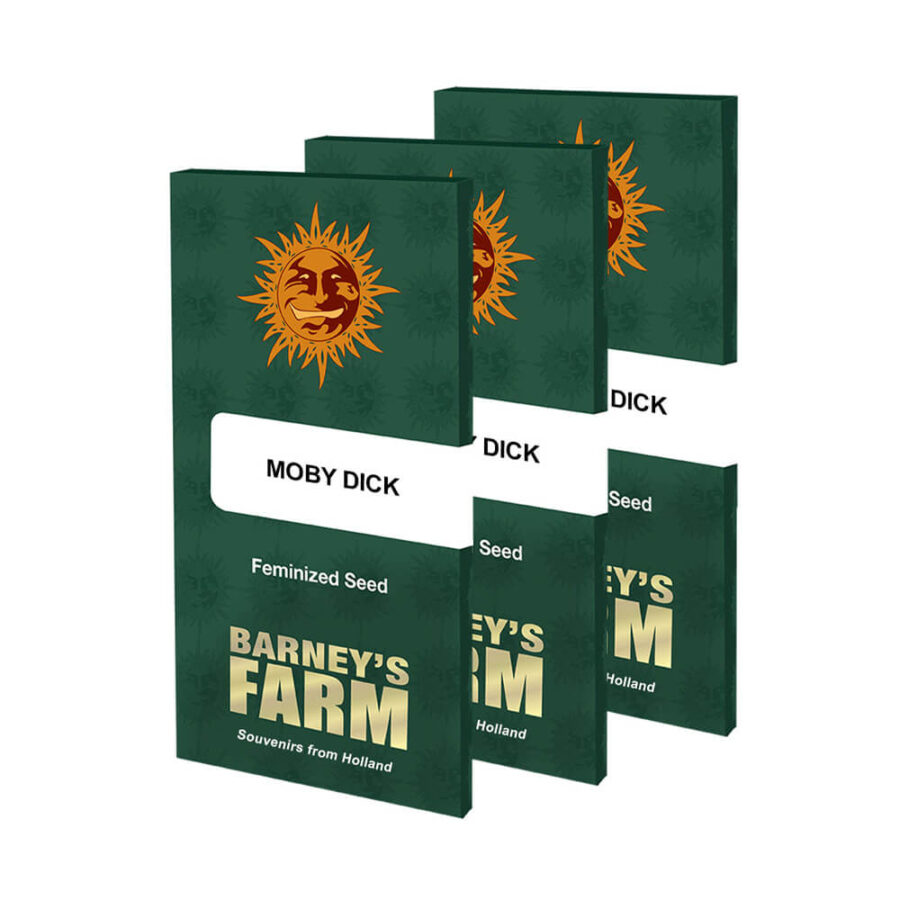 Barney's Farm Moby Dick feminized cannabis seeds (3 Samen Packung)