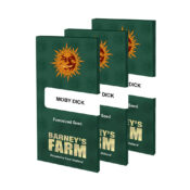 Barney's Farm Moby Dick feminized cannabis seeds (5 Samen Packung)