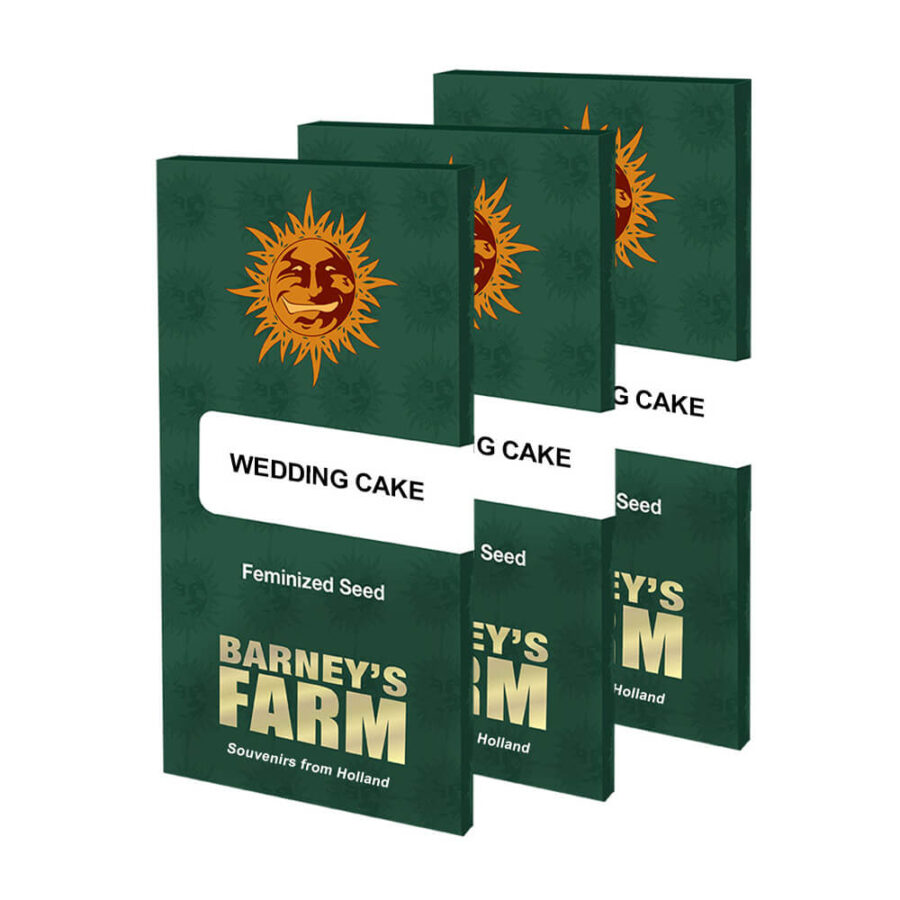 Barney's Farm Wedding Cake feminized cannabis seeds (3 Samen Packung)