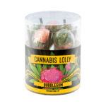 Cannabis Lollipops Bubblegum Flavour Geschenkbox 10Stk (12 Packs/Masterbox)