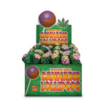 The Hempy Lab Cannabis Lollipops Tangerine Dream (70stk/display)