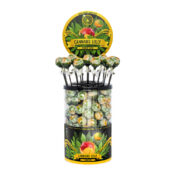 Cannabis Lollipops Mango Kush (100Stk/Display)