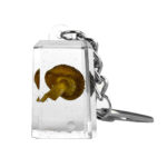 Pilz Acryl Transparenter Schlüsselanhänger Würfel wholesale mushroom keychain