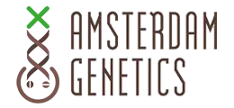 Amsterdam Genetics - Kosher Choco Kush (5 Samen Packung)