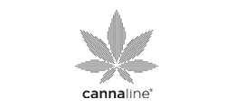 Euphoria Cannabis Schwarze Johannisbeere Kaugummis mit 100mg CBD (12stk/Display)