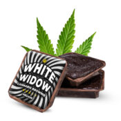 White Widow Cannabis Brownies (40Stk/Karton)